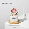Adorno de artesanía en vidrio de Zibo, flor de nacimiento de diciembre, planta verde floral de vidrio artificial, decoración de escritorio, regalo creativo
