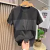 Camiseta de manga corta de seda de hielo para hombre, de verano, fina, holgada, de media manga, con cuello redondo, estilo montañés, ropa informal de moda.