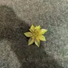 7,5CM flor de Natal com pó dourado Árvore de Natal Guirlanda de Natal Decoração de Natal Decoração de Casamento Decoração de Caixa de Presente