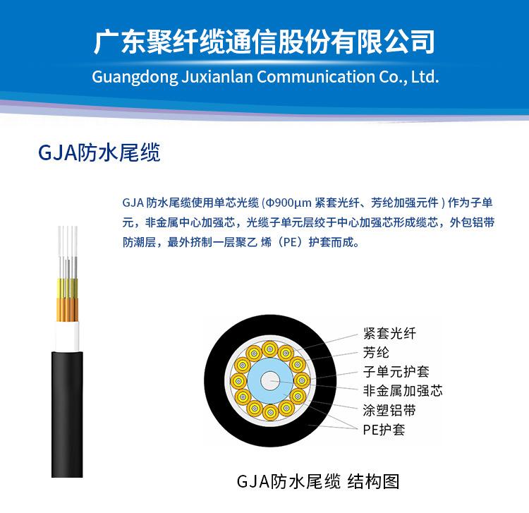 详情 (1)