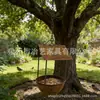 Casa de Pájaros Oxidada de Hierro Vintage Transfronteriza, Comedero para Pájaros, Decoración de Jardín, Adorno de Jardín de Arte Colgante