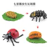 Simulación araña sólida unicornio ciempiés modelo insecto juguete para niños mariposa abeja adornos de animales mesa de arena