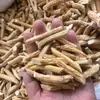 Raiz de Pêssego de Cinco Dedos da Origem, Limpa e Sem Caroço, Adequada para Temperar Sopas, Pedaços de Pêssego de Cinco Dedos com Aroma Leitoso, Também Disponível na Variedade Niu Dali