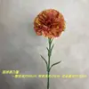 Clavel de Tallo Único Flor Artificial Día de la Madre Día del Maestro Decoración de Habitación Dormitorio Sala de Estar Arreglo Floral Accesorio para Foto