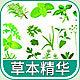 2635 - 草本精华香精