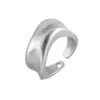 Anillo Irregular Geométrico para Mujer, Moda de Lujo Ligero, Acabado Mate Único, Anillo Abierto Versátil, Anillo de Dedo Índice Moderno