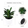 Más de 100 Tipos de Combinaciones de Plantas Suculentas Mini de Plástico Simuladas en Maceta, Mini Bonsáis Suculentos Más Vendidos Transfronterizos, Decoración para el Hogar, Adornos Creativos