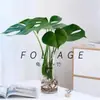 Planta Hidropónica Monstera Maceta Pila Vieja Purifica el Aire Ave del Paraíso Hoja Grande Follaje de Interior Planta Verde Perenne Todo el Año
