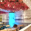 Cortinas Enrollables de Gasa Translúcida OEM Oficina Hogar Ingeniería Parasol Fabricante de Cortinas Enrollables Personalización Admite Lotes Pequeños