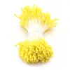 Yeso Hojas Artificiales Bicolor Bayas Imitación Perlas de Vidrio Fósforo Flor Artificial Núcleo Mate Accesorios de Flores para Manualidades