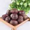 Fruta de Sorosolaceae al por mayor y dropshipping