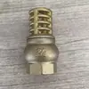 Bomba de Sucção com Válvula de Fundo Totalmente de Cobre, Malha de Aço Inoxidável, Mola, Vertical, 1/2 Polegada, 3/4 Polegada, 1 Polegada, Dn15, com Filtro, Válvula de Retenção