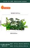 Flores Artificiais Plantas Verdes Conjunto de Divisória Decorativa Flores de Plástico e Seda Decoração de Paisagismo Arranjo de Paisagem Exibição de Janela Interna