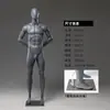 Accesorios de Modelo Deportivo, Tienda de Ropa para Mujer, Maniquí de Baloncesto, Muñeco de Cuerpo Completo para Hombre, Soporte de Exhibición de Medio Cuerpo de Tenis, Ropa