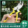 Tesoura de Poda Profissional, Tesoura para Galhos de Frutíferas em Vasos, Tesoura de Galhos, Tesoura de Jardinagem, Tesoura para Colheita de Frutas, Tesoura de Jardim de Aço Inoxidável