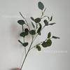 Hoja de Manzana Redonda Hoja de Eucalipto Plantas Suculentas para el Hogar Boda Auditorio de Bodas Decoración Hoja Artificial Hoja de Ingeniería
