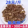 Raíz de Hierba Hueso Seca Fresca de Flecha de Caballo Lu Yinggen, Raíz de Cáñamo de Ocho Costillas, Raíz de Siete Hojas, Raíz de Hierba Apestosa Entrega al por Mayor