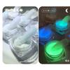 Internet Red 6 Colores Luminoso Nail Art Glitter Fiesta de Club Nocturno Color Luminoso Polvo de Azúcar Nail Art Polvo Luminoso para Tienda de Nail Art