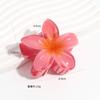 Venta al por mayor Europeo y Americano Transfronterizo Clip de Frangipani Clip para el Cabello de Bauhinia Moda para Mujer de Alta Gama Clip de Tiburón Clip para el Cabello Joyería