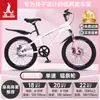Bicicleta Infantil Phoenix para Niñas de 6-12-15 Años, Adolescentes, Niños Mayores, Bicicleta de Montaña con Cambios para Estudiantes