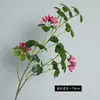 Simulação Ramos Grandes Pano de Seda Guanyinlian Sentido Avançado Decoração de Casa Hotel Paisagem Externa Arranjo de Flores Guanyinlian Flor Artificial