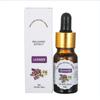 Umidificador Difusor de Óleo Essencial Solúvel em Água Pedra Especial para Quarto Calmante e Relaxante Hortelã Bergamota Laranja Doce Aromaterapia Óleo Essencial