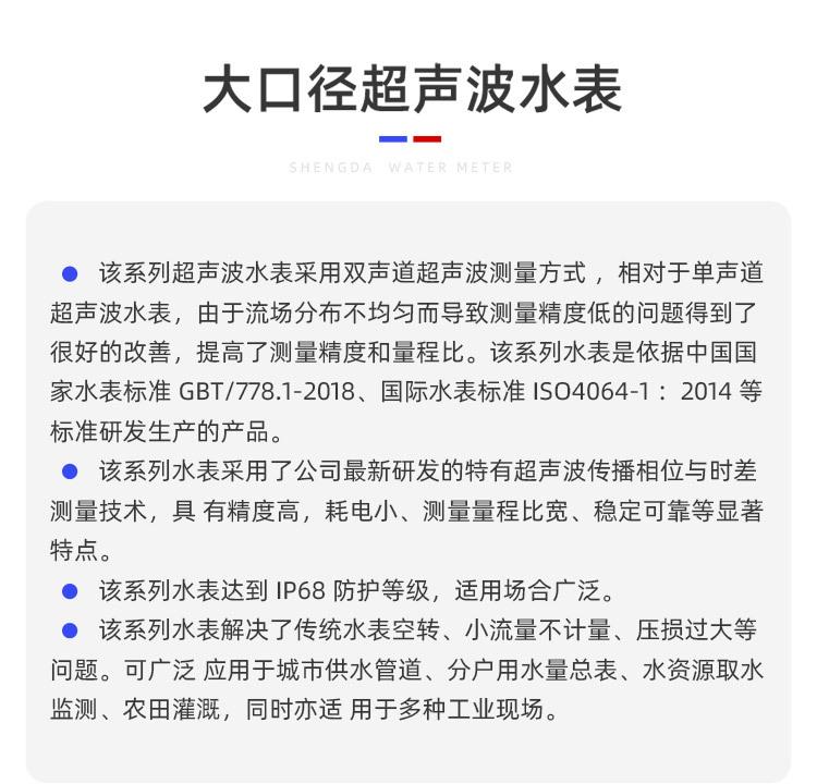 超声波水表-大口径-盛达_09.jpg