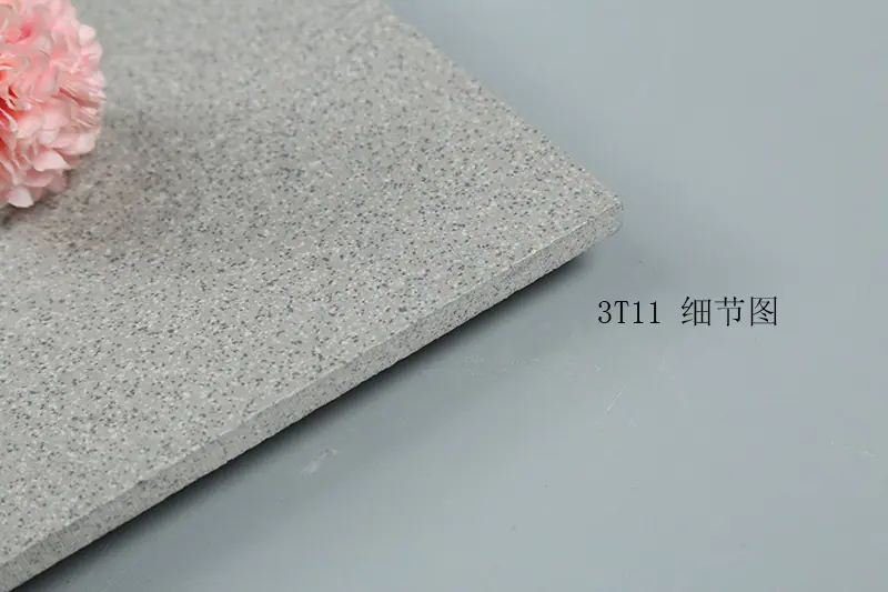 3T11-2.jpg