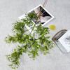 Simulação de Novos Produtos Transfronteiriços Mimosa Flor de Casamento Estúdio Layout Flores Artificiais Adereços de Fotografia Ornamentos Florais Flores Secas