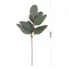 Ramo Único de Folhas de Eucalipto com Frutos, Decoração para Arranjo de Flores DIY, Folhas de Dinheiro Artificiais, Folhas Decorativas de Eucalipto com Frutos para Vendas Transfronteiriças