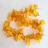 Guirnalda de Hojas de Arce Artificial Decoraciones de Otoño Halloween Plantas Artificiales Verdes Decoraciones del Festival de la Cosecha de Amazon Suministro Exclusivo Transfronterizo
