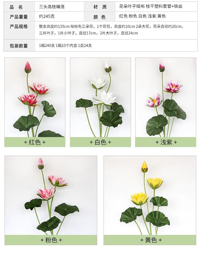 荷花睡莲(1)_03