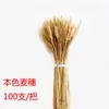 Decorações Agrícolas, Espigas de Trigo, Flores Secas, Espigas de Arroz, Sorgo, Painço, Caules de Gergelim, Galhos Secos, Buquês de Flores, Arranjos Florais, Adereços para Festa da Colheita
