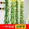 Folha de uva trepadeira planta verde folha de árvore tubo teto decoração plástico jiboia dinheiro folha verde enrolando