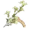 Orquídea Artificial de Rama Larga de 7 Ramas Prop para Fotografía de Hogar y Hotel Flor de Llama Flor Artificial Decoración de Arreglo de Pasillo de Boda