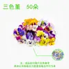 Prensagem e Tingimento de Flores, Materiais Florais, Materiais para Prensagem de Grama, Prensagem de Decalques, Amassador de Flores, Árvores Verdes Frescas, Leidezhuzhu