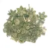 Accesorios para el cabello antiguos DIY pasador hecho a mano paquete de parches frescos pasador niang AliExpress tocado de flor por peso lote completo