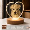 Bola de cristal creativa, luz de noche de madera maciza, lámpara ambiental de escritorio, decoración de mesita de noche, temática de mascotas gato y perro, regalo de recuerdo personalizable