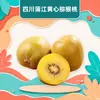 Kiwi Amarillo Dorado de Pujiang, Sichuan - Entrega de 6/10/15/20/24/30 piezas de fruta de kiwi fresco de pulpa amarilla