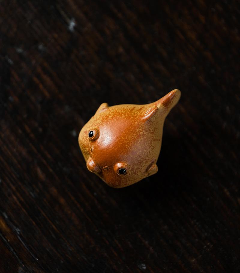 小河豚20210616 (18).jpg