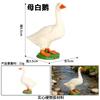 Granja Rancho Educación Temprana Infantil Aves Modelo Animal Simulación Animal Ganso Cisne Blanco Pollo Pato Conejo Set