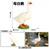 Modelo Sólido de Animal Salvaje Artificial Aves de Corral Pollo Pato Ganso Faisán Pavo Grupo de Pollitos Juguete Cognitivo para Niños Adornos