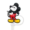 Conjunto de Canudos do Mickey e Pato Donald 8-10mm Tampa de Canudo de PVC Material Ecológico Canudos Mais Vendidos