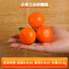 Fruta de Simulação Laranja Falsa com Galhos e Folhas Laranja Pequena Corda Ensino Consciente Polaroid Laranja Açúcar Simulação Laranja Açúcar Modelo