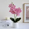 Flor Artificial Dos Ramas 9 Flores Orquídea Phalaenopsis Bonsái, Adorno Decorativo de Flor Falsa Creativo a la Moda, Planta Verde Artificial al por Mayor
