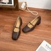Zapatos de Tacón Alto Nuevos de Primavera Estilo Celebridad de Internet para Mujer, Tacones Gruesos que No Cansan, Zapatos Mary Jane Franceses para Mujer, Zapatos de Vestir de Nicho