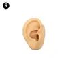 Modelo de Exhibición de Auriculares de Oreja de Silicona Joyería de Pendientes de Oreja Práctica de Limpieza de Orejas Prop de Enseñanza de Simulación del Cuerpo Humano