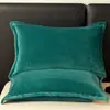 Fronhas de Veludo Leite de Inverno, um Par de Fronhas de Veludo Coral 48X74Cm, Capa Protetora de Núcleo de Travesseiro Individual Doméstico para Homens