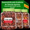 Frango enlatado Fir Mushroom da Academia de Ciências Agrárias Óleo de frango pronto para comer Fir Bong Fígado de boi Cogumelo Frango com cogumelos Molho de cogumelos marrons