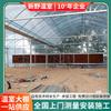 Venta Directa del Fabricante de Invernaderos de Malla Multitúnel, Conjunto Completo de Producción de Estructura Metálica para Invernaderos, Producción de Origen de Invernaderos para Cultivo de Hortalizas